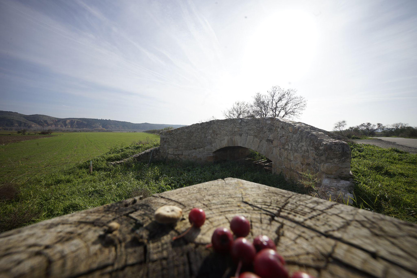 Carpetania suena. Pueblos de la Vega del Jarama
