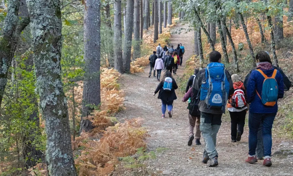 actuacion 2 rutas otono