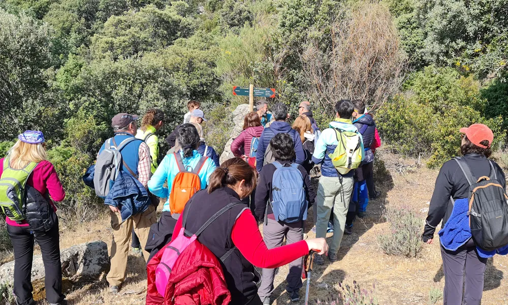 ruta primavera 01