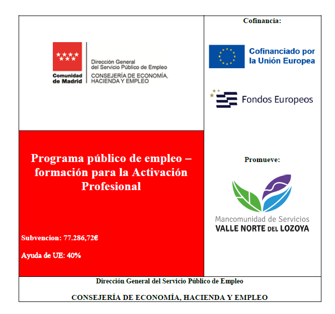 Programa publico empleo formacion activacion profesional