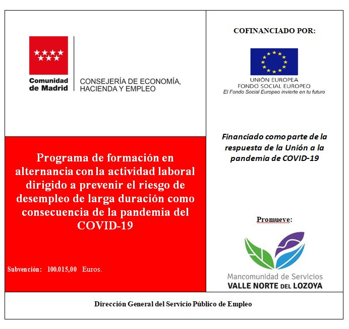 programa formacion alternancia